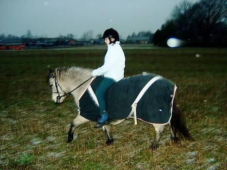 Gotlandsruss  Tarpán´s Ronja <3 - Her er Ronja med hende jeg underviser<3 billede 7