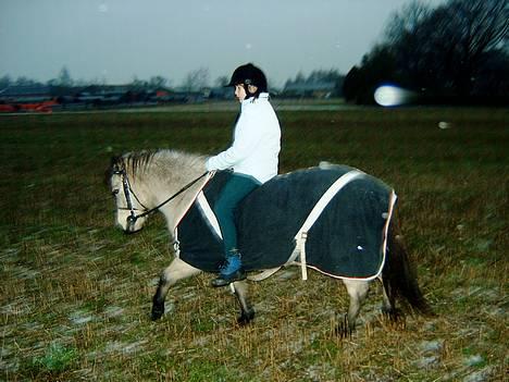 Gotlandsruss  Tarpán´s Ronja <3 - Her er Ronja med hende jeg underviser<3 billede 7