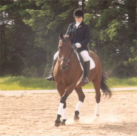 Anden særlig race Samson (R.I.P) billede 2