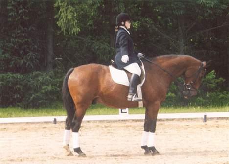 Anden særlig race Samson (R.I.P) billede 6