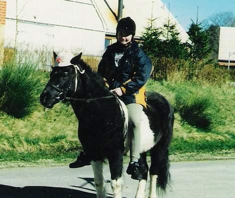 Anden særlig race Whisky(Døde d. 28 okt 05) - Min søster Simone og Whisky på sommer tur med sommerhat billede 5