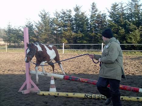 Pinto Mery Poppins billede 5