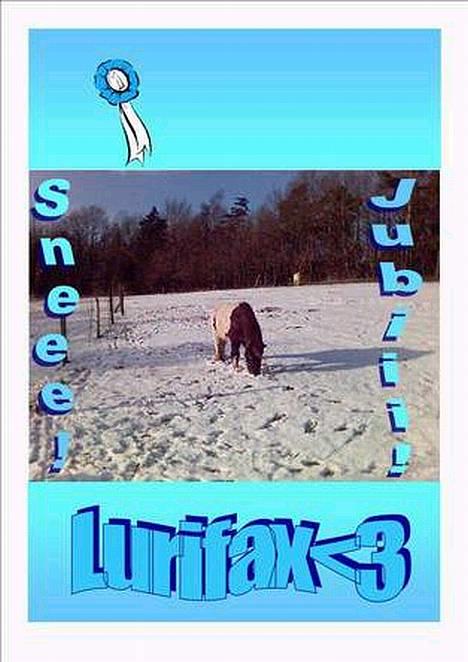 Anden særlig race Lurifax <3hvil i fred <,3 - Hvor er græset henne..? billede 2