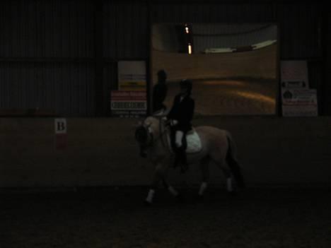 Fjordhest lyngtoftens musse (møffe) - mig og musse til stævne la 1.. hun gik barr så godt... elsker dig pony.. <3 billede 2