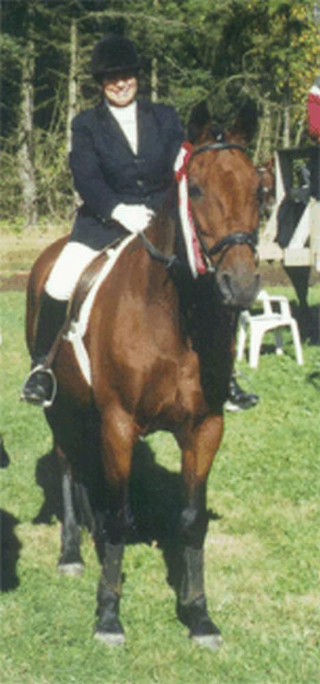 Anden særlig race Samson (R.I.P) - Her er samson og min mor lige blevet klubmestere i Dressur.. billede 10