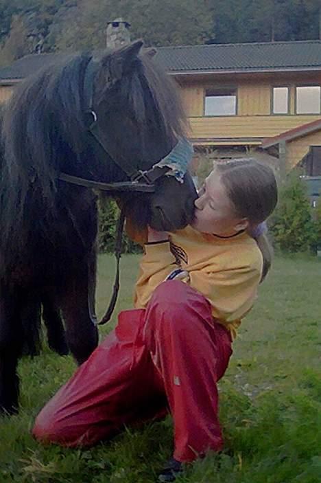 Shetlænder Lill-Patrik (solgt) - Søte eller? =D billede 8