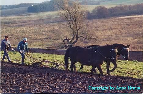 Oldenborg Belinda - Belinda og Musse igen. billede 7
