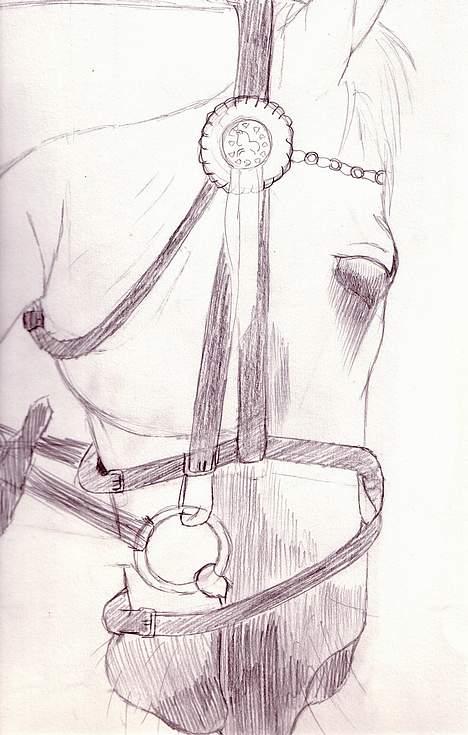 Haflinger Pilgrim - solgt - Dette billede har jeg selv tegnet .. efter et stævne i 2004,...  elsker det billede det ligner jo da lidt ! billede 6