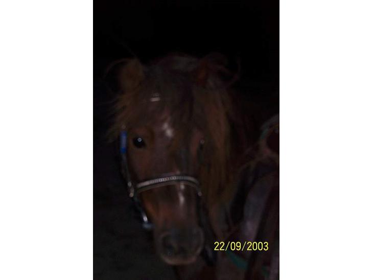 {{currentPhoto.altText}} billede {{currentPhoto.number}}