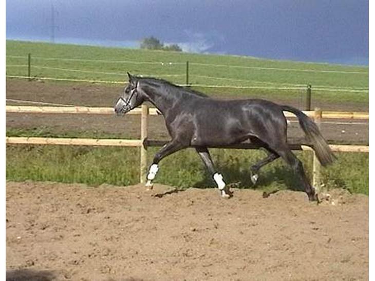 {{currentPhoto.altText}} billede {{currentPhoto.number}}