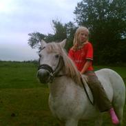 Anden særlig race Lotte