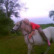 Anden særlig race Lotte