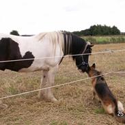 Tinker Gobán Gabbana