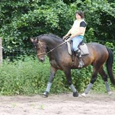 Oldenborg sentinali af danevang