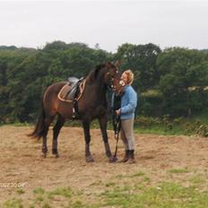 Oldenborg sentinali af danevang