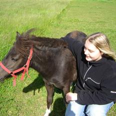 Shetlænder Gravgaard's Sokke