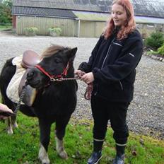 Shetlænder Gravgaard's Sokke