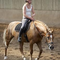 Anden særlig race Liane 154 * *Himmelhest**