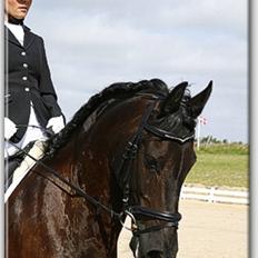 Frieser Umo af banegaarden R.I.P *1998-2011*