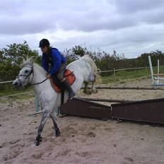 Anden særlig race Emil