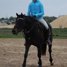 DSP Lykkehøjs Catch Mee