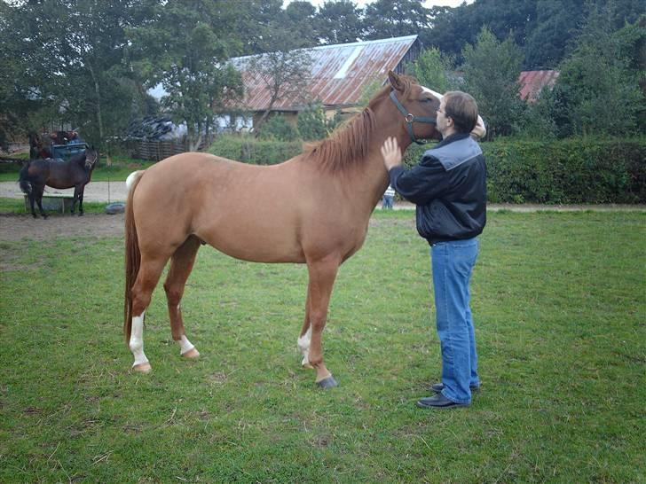 Paint Qantico  - Når far endeligt er med skal der nusses billede 6