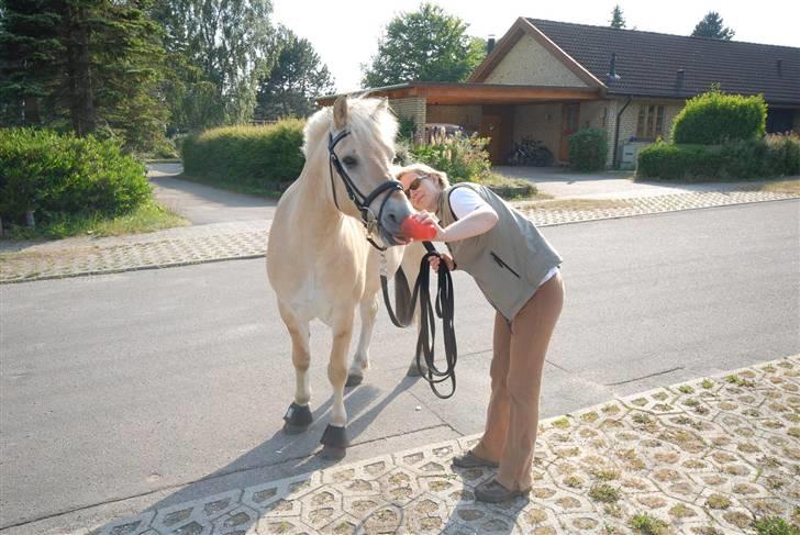 Fjordhest Lukas - Pyh, det er varmt at gå tur - vi må ha´ en lille tår vand billede 6