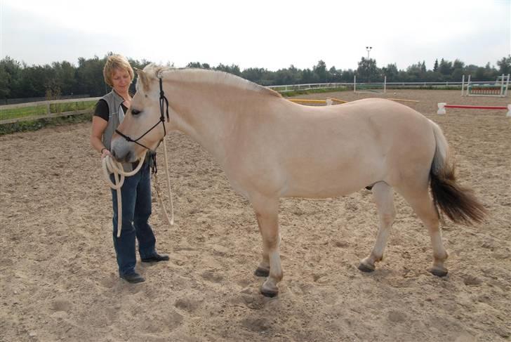 Fjordhest Lukas - September 2006 - lidt mere trimmet at se på :-) billede 7