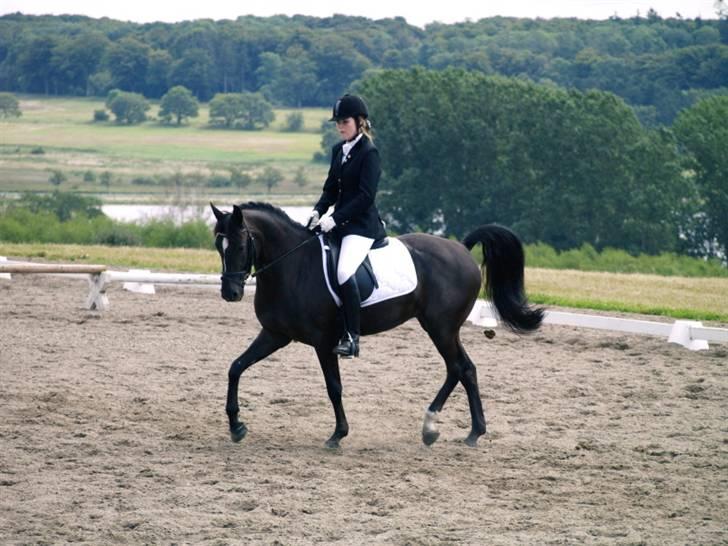 Tysk Sportspony / DSP Bravissima  - *8* Allerførste stævne: Årslevgaard . ii: <3  vi fik 4 rosetter med hjem (; D.18-19/08-07 (L) billede 6