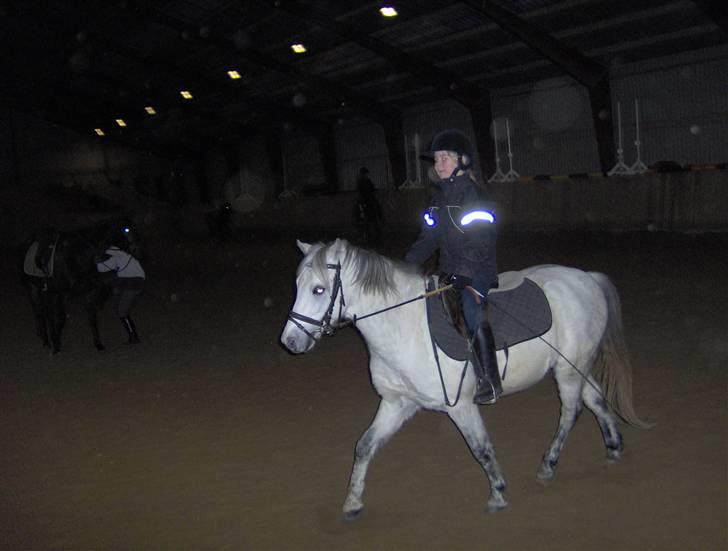 Pinto Amanda Toftekær  -solgt- - mie på amanda i ridehus billede 5