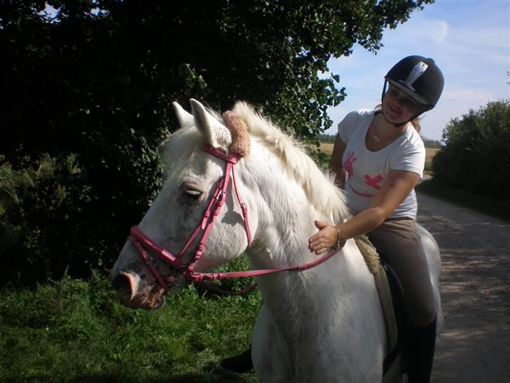 Anden særlig race Bonnie Best<3 | SOLGT - Sidste dag med hende :´-* <3 {fotograf: Amanda} billede 7