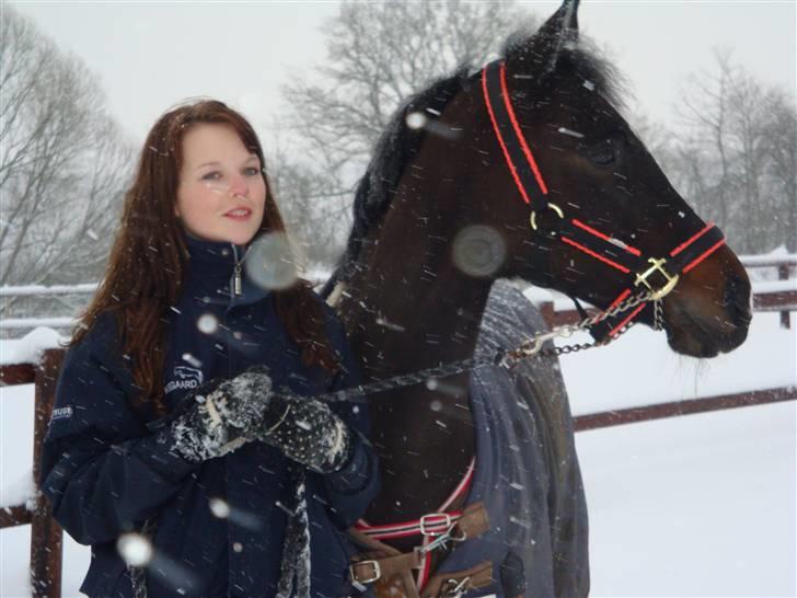 Tysk Sportspony Charmeur - SOLGT - R.I.P - Charmeur og mig i sneen, december 09. billede 6