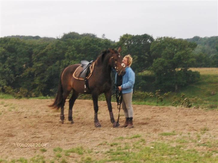 Oldenborg sentinali af danevang billede 3