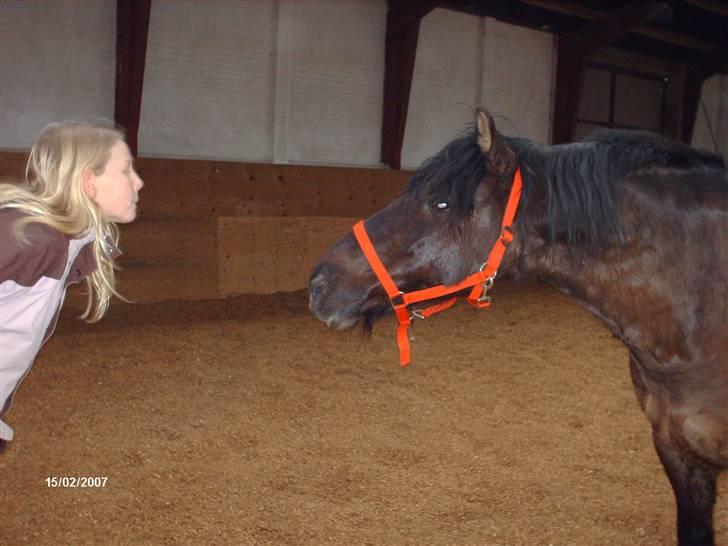Anden særlig race Lukas - louise og lukas. hehe. NYT billede 19