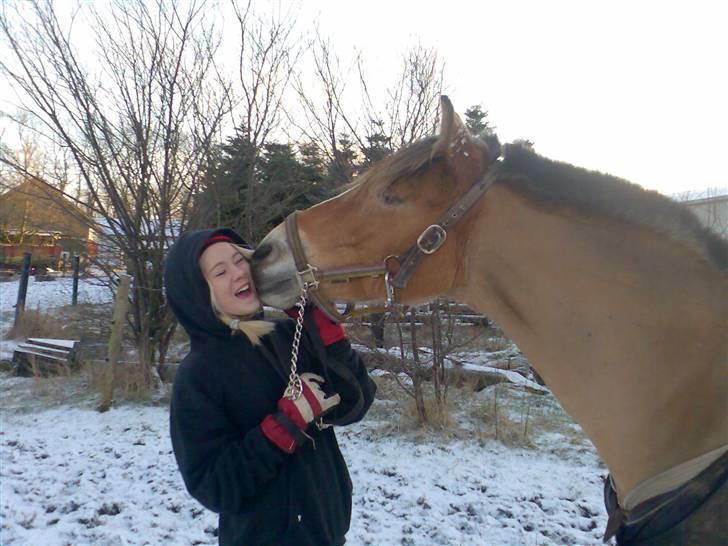 Anden særlig race Golden Lady (Solgt) - Kyyyyyyys <3 billede 14