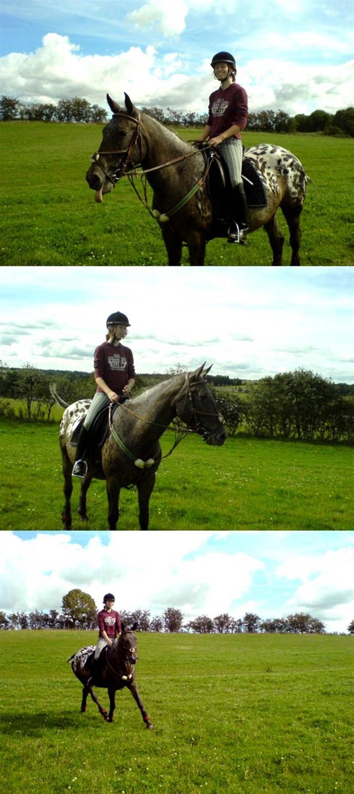 Knabstrupper Mardi Gras - 14 | Maddie 9 / 9 07 - På skovtur i springudstyret. billede 14