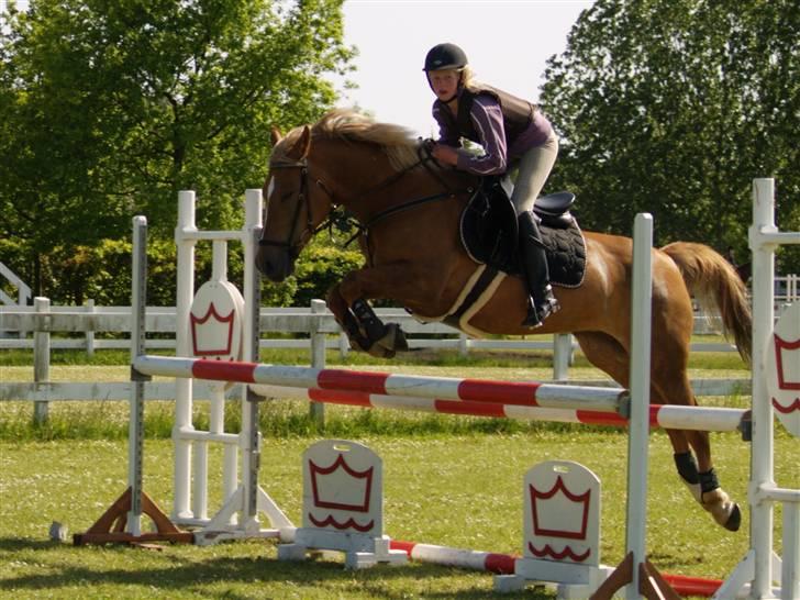 Anden særlig race Liane 154 * *Himmelhest** - Springning.    billede 2