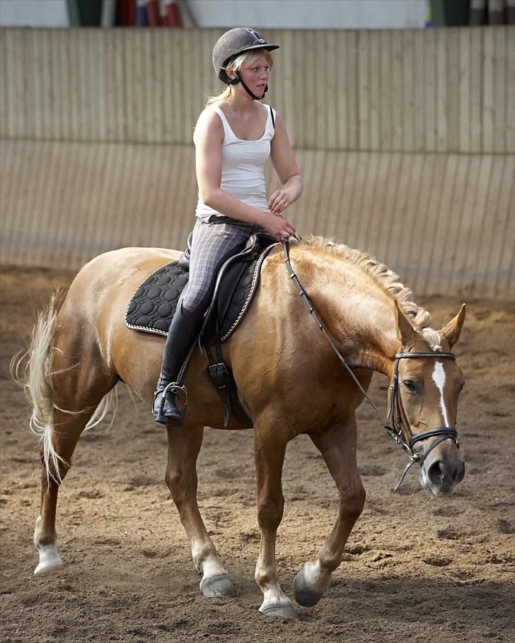 Anden særlig race Liane 154 * *Himmelhest** - Færdig med LA3- A, - SIv Academy  billede 3