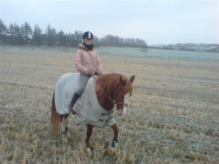 Anden særlig race Miss Breeze - Herligt med en lille tur:P billede 9