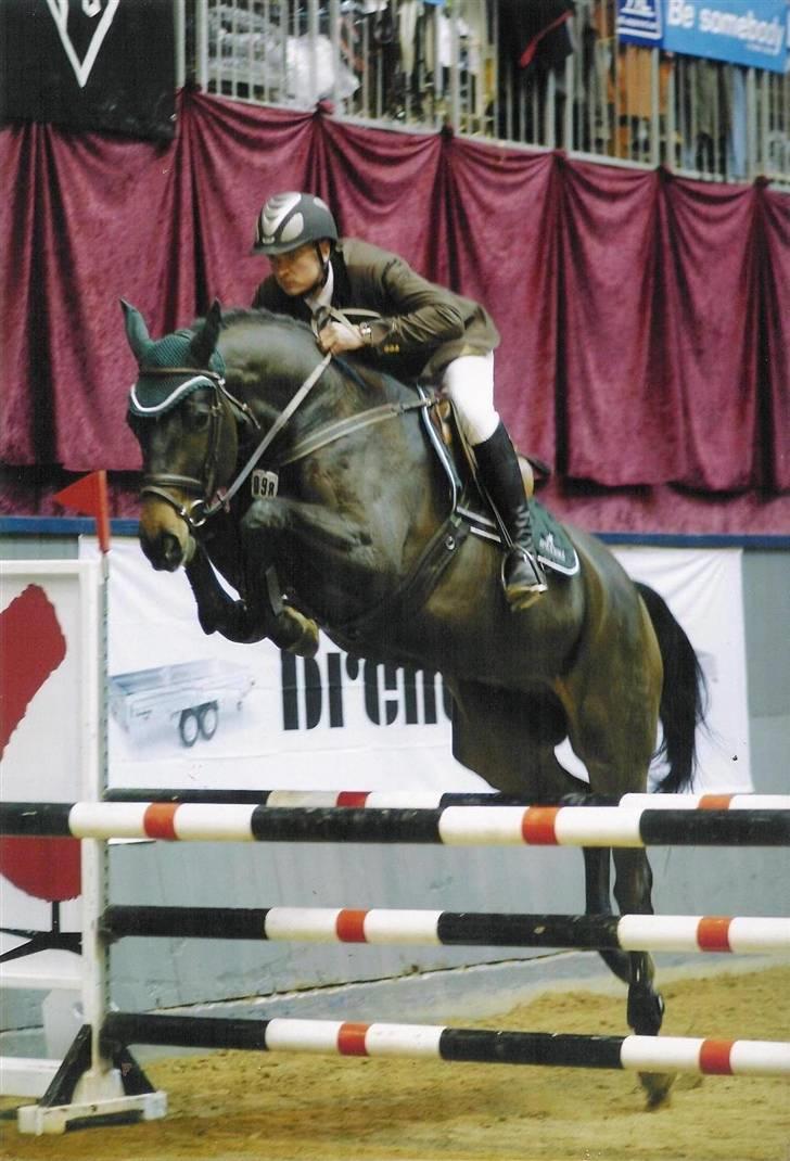 Dansk Varmblod Toftgaards Liberty - A finale V.H 2006 billede 5