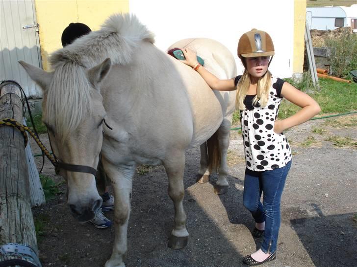 Fjordhest Bamse Solgt april 09 - er han fin nok mor..! billede 4