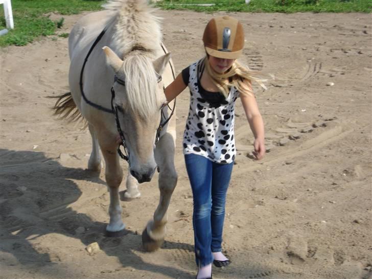 Fjordhest Bamse Solgt april 09 - Kom bamse vi skal hen til rækværket... billede 5