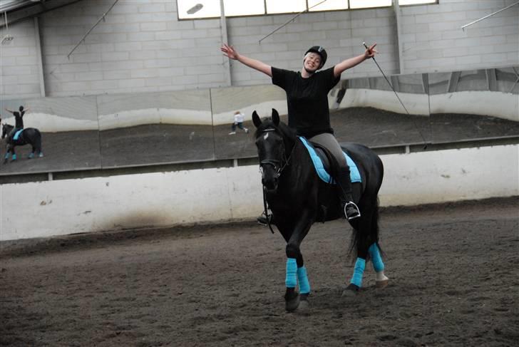 Anden særlig race Troldhøjs Cheval - Total hygge:D elsker ham<33          foto: Farfar billede 4