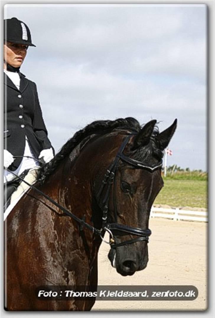 Frieser Umo af banegaarden R.I.P *1998-2011* - Frieser landstævne. billede 1