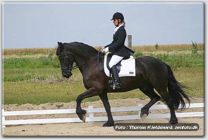 Frieser Umo af banegaarden R.I.P *1998-2011* - Frieser landstævne. billede 3