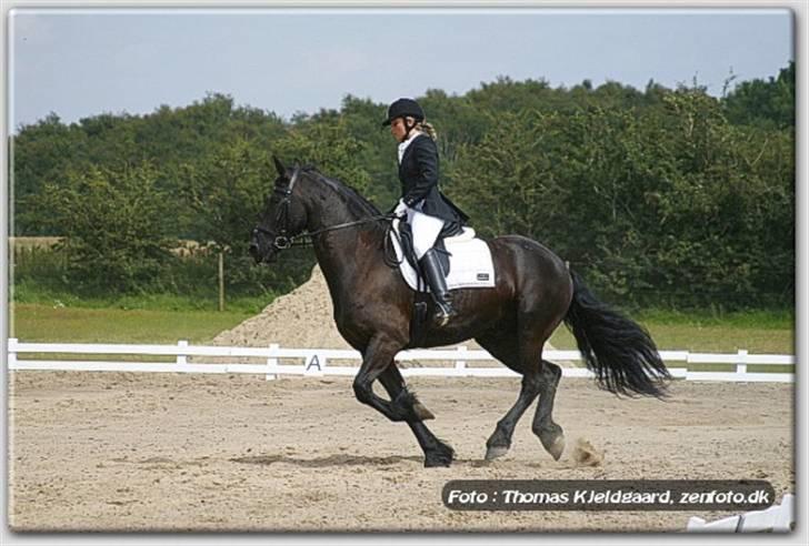 Frieser Umo af banegaarden R.I.P *1998-2011* - Frieser landstævne. billede 4