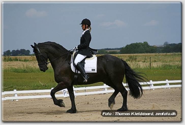 Frieser Umo af banegaarden R.I.P *1998-2011* - Frieser landstævne. billede 5