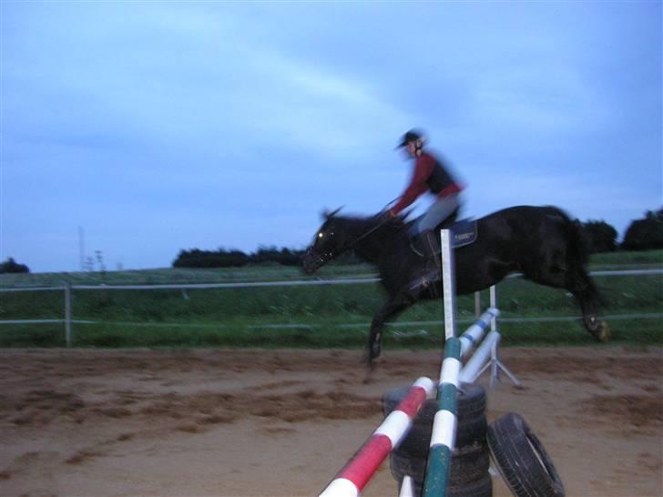 Anden særlig race Samba - ved godt det er utydeligt, men vi har et langsom kamera, men det er så man får fornæmmelsen af hvor højt, og hvor godt hun springer.. ;P billede 19