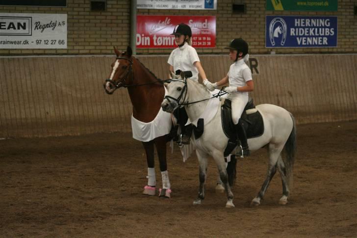 Anden særlig race Nannok - Nannok/Mig & Bacardi/Emma - Kvadrille = 1 plads.  :D billede 14