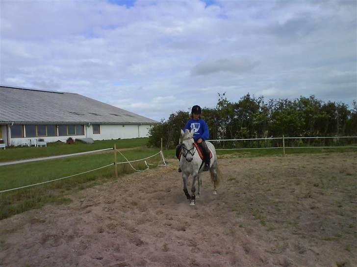 Anden særlig race Emil - her kommer vi! billede 1